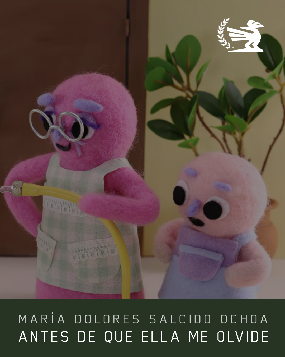 María Dolores Salcido Ochoa — Antes de que ella me olvide
